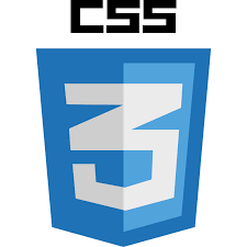 CSS Logo